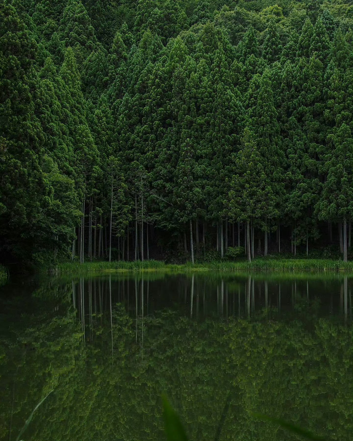 少与人纠缠，多看看大自然 ​​​
