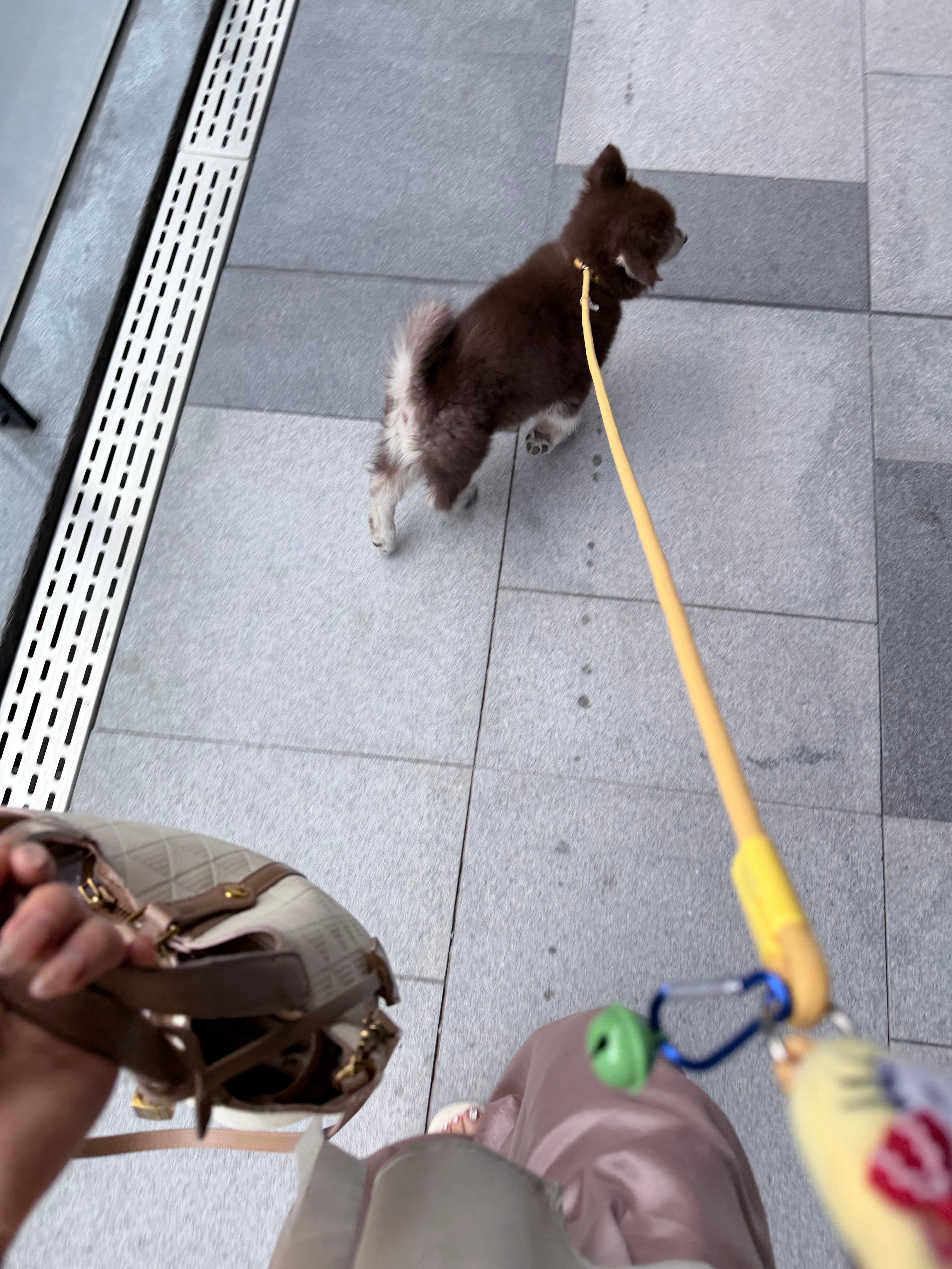 这到底谁遛谁啊😵💫 漯河·清樾咖啡(西城万达广场店)