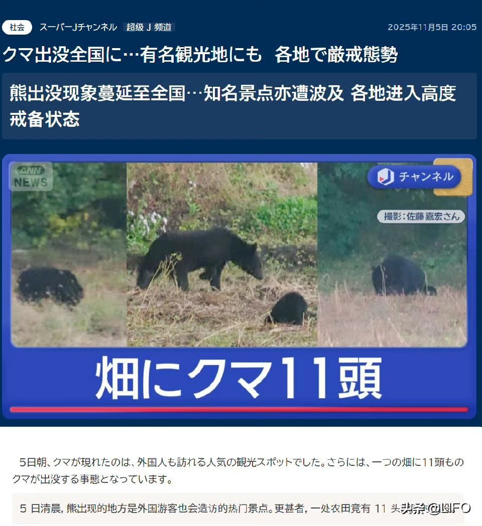 日媒：岩手县100平方米见方的农田里刷新了11只熊。雨中，宫城县住宅区附近的柿子