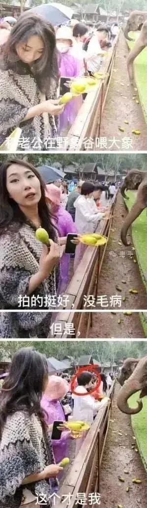 给媳妇拍了半天的照，主角竟然是…[泣不成声]