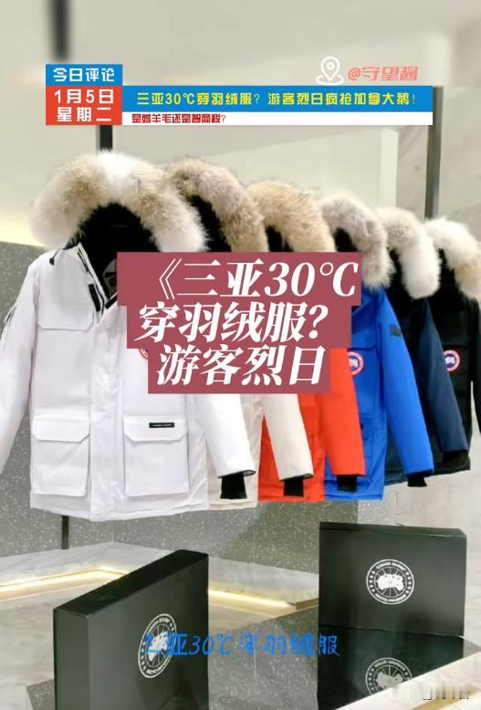 三亚30℃抢羽绒服！6900元加拿大鹅遭疯抢，外国游客扎堆薅羊毛？
🔥离谱！三