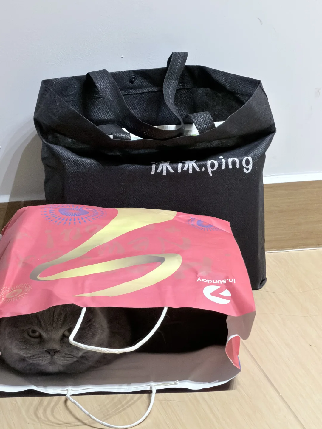 别问 问就是在”躲猫猫”！