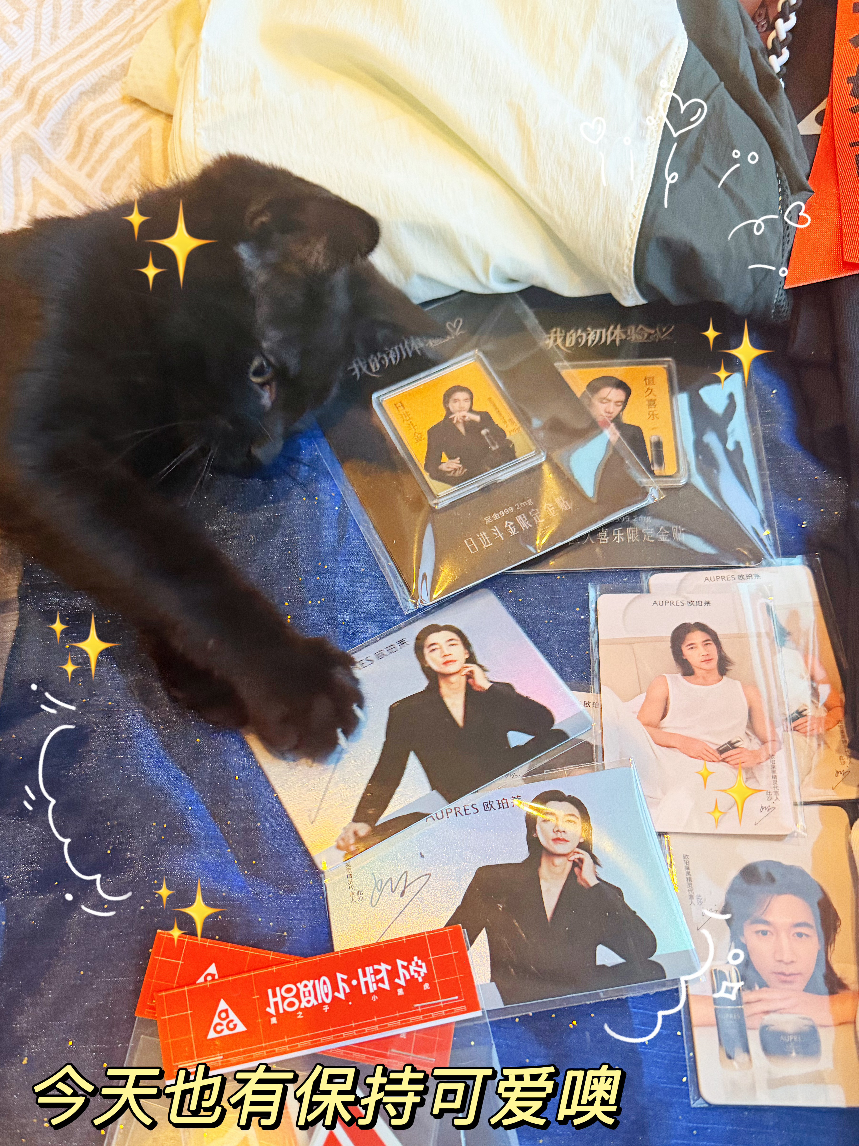 特别爱此沙的一只小黑猫反正我每次拿沙沙周边出来它就要来抢着玩感觉它很喜欢我们的猫