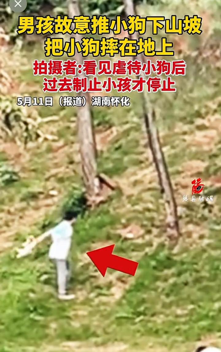 男孩故意推小狗下山坡，把小狗摔在地上。拍摄者：看见虐待小狗后，过去制止小孩才停止