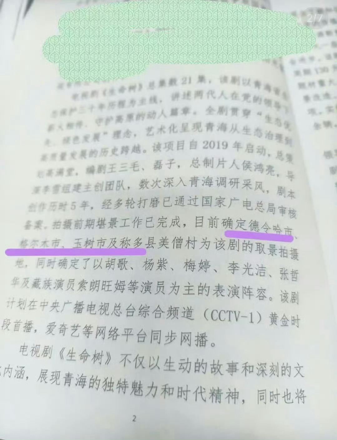 🍉疑似生命树阵容名单 ​​​