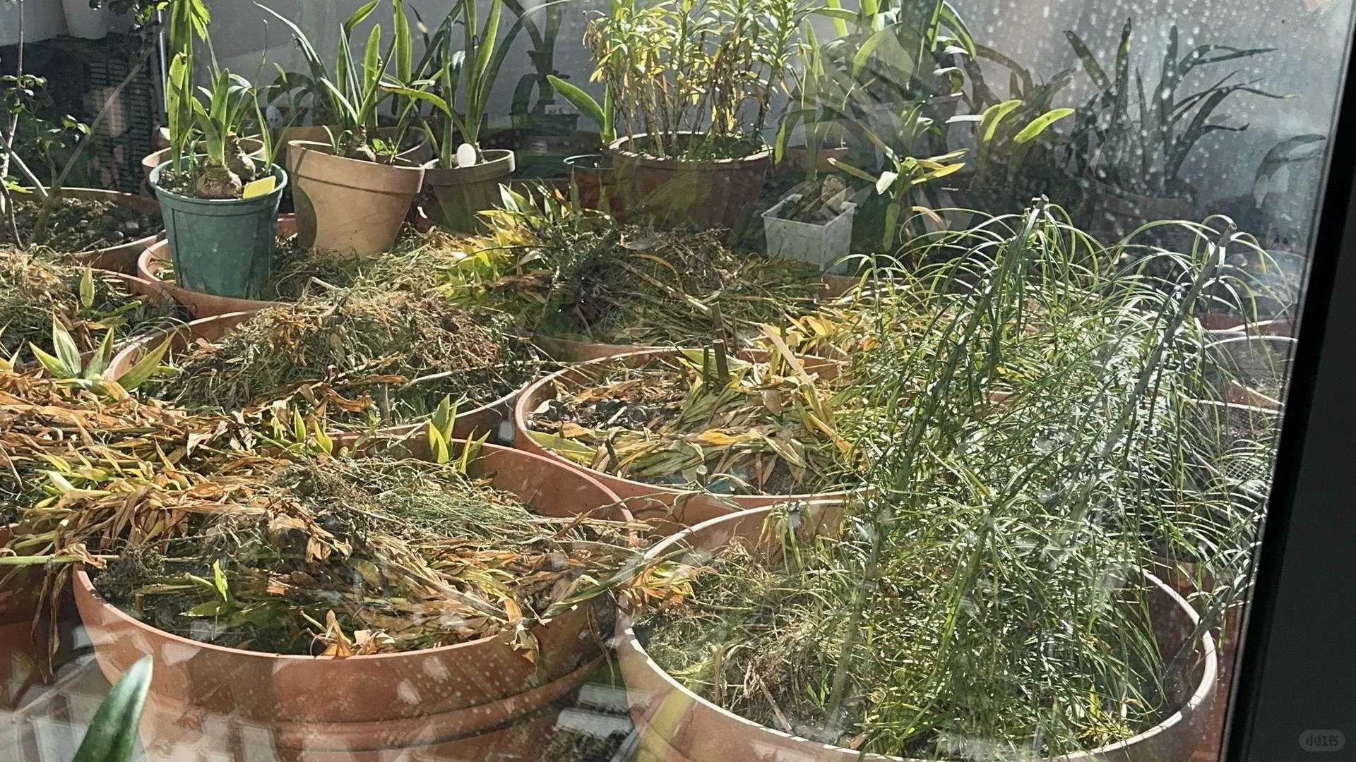 求不会冒烟的烧火炉推荐？想一把火了结他们