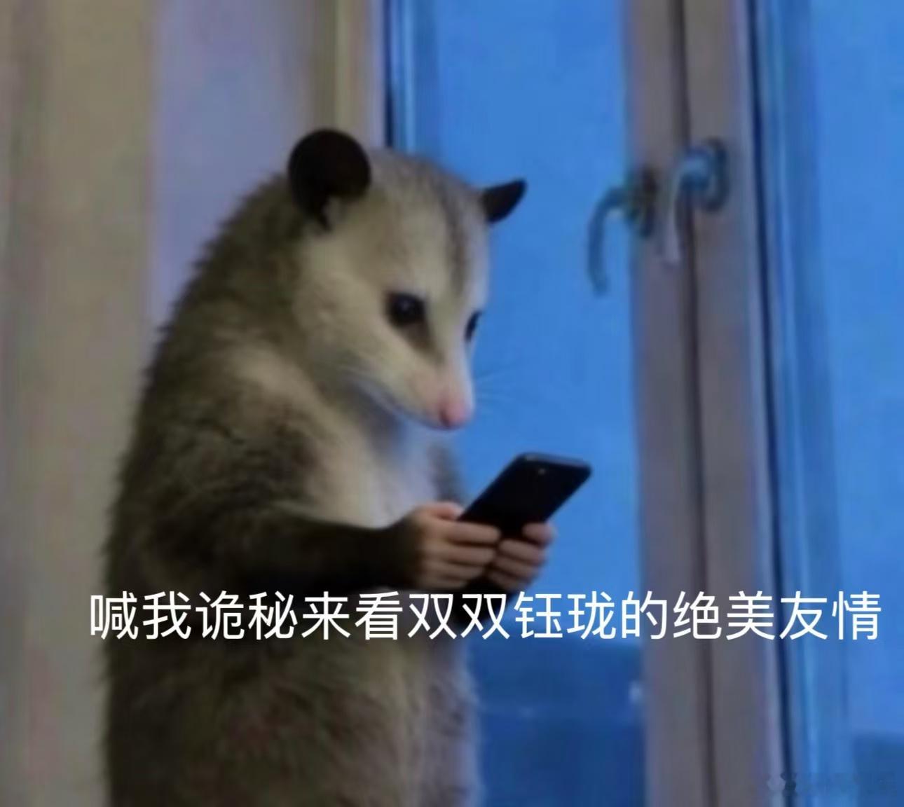 拧巴的人需要一个引导型钰珑双双就是拧巴怪本怪！做什么决定都要纠结八百遍，心里想得