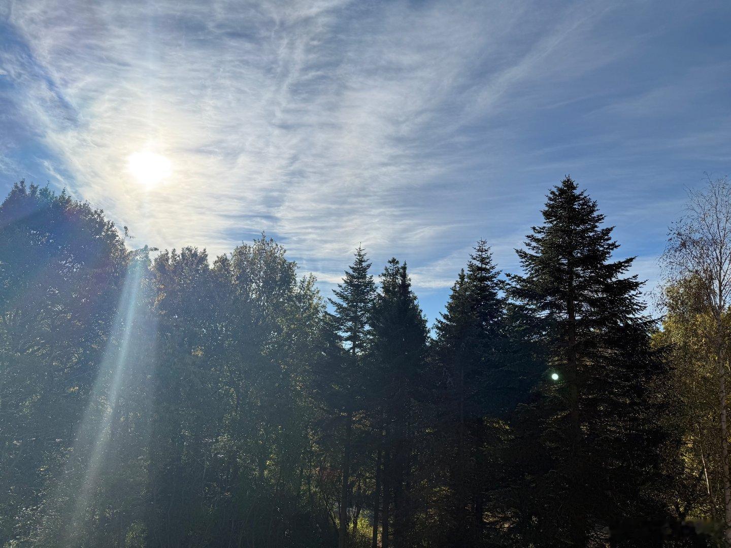 一条plog告别十月进入最后的冲刺阶段[加油]（还拿到了近期喜欢的小玩具[鼓掌]