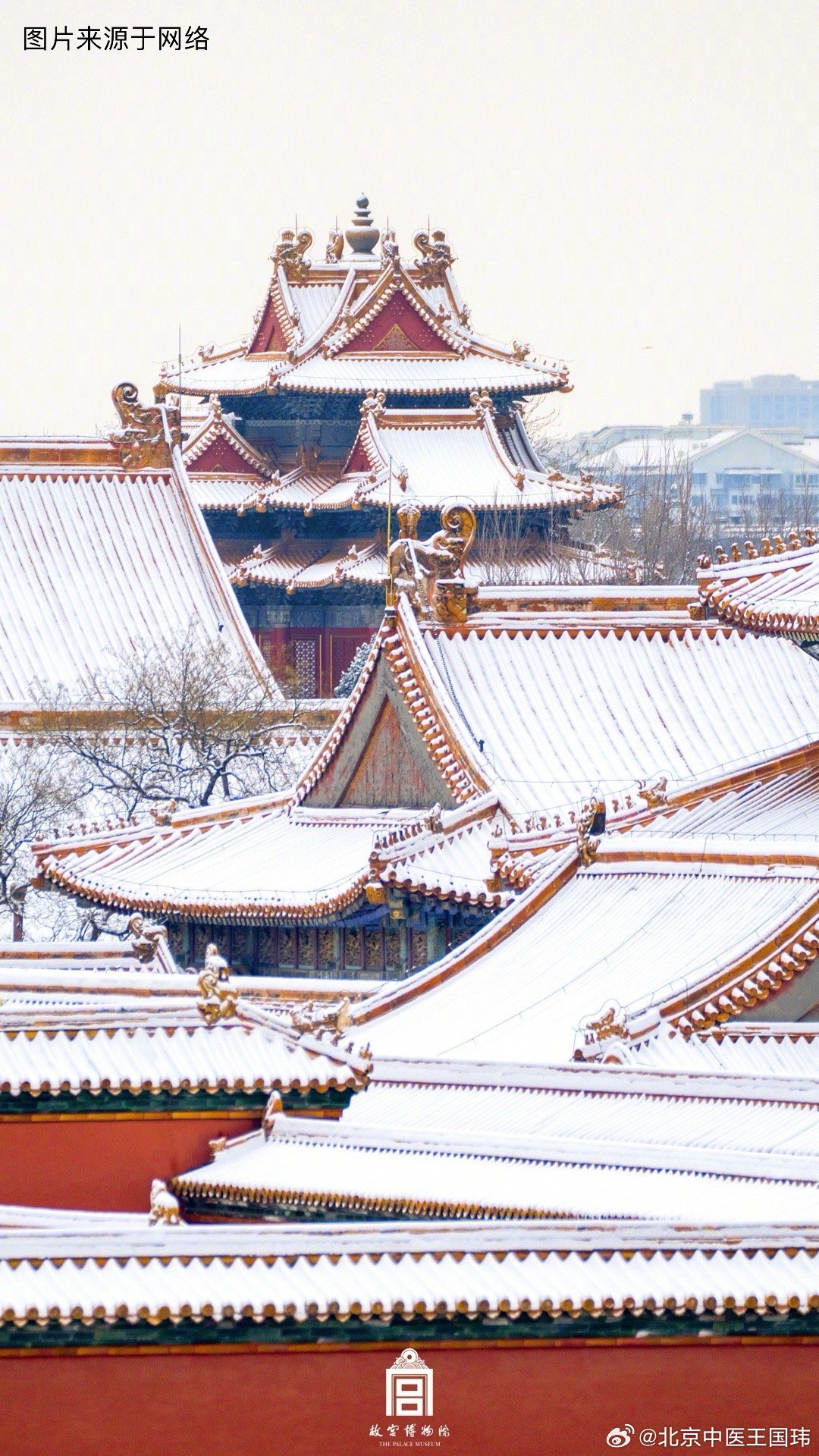 大雪节气养生要点——冬天进补话参类药食同源说人参：人参味甘微苦、性温，是“补气之