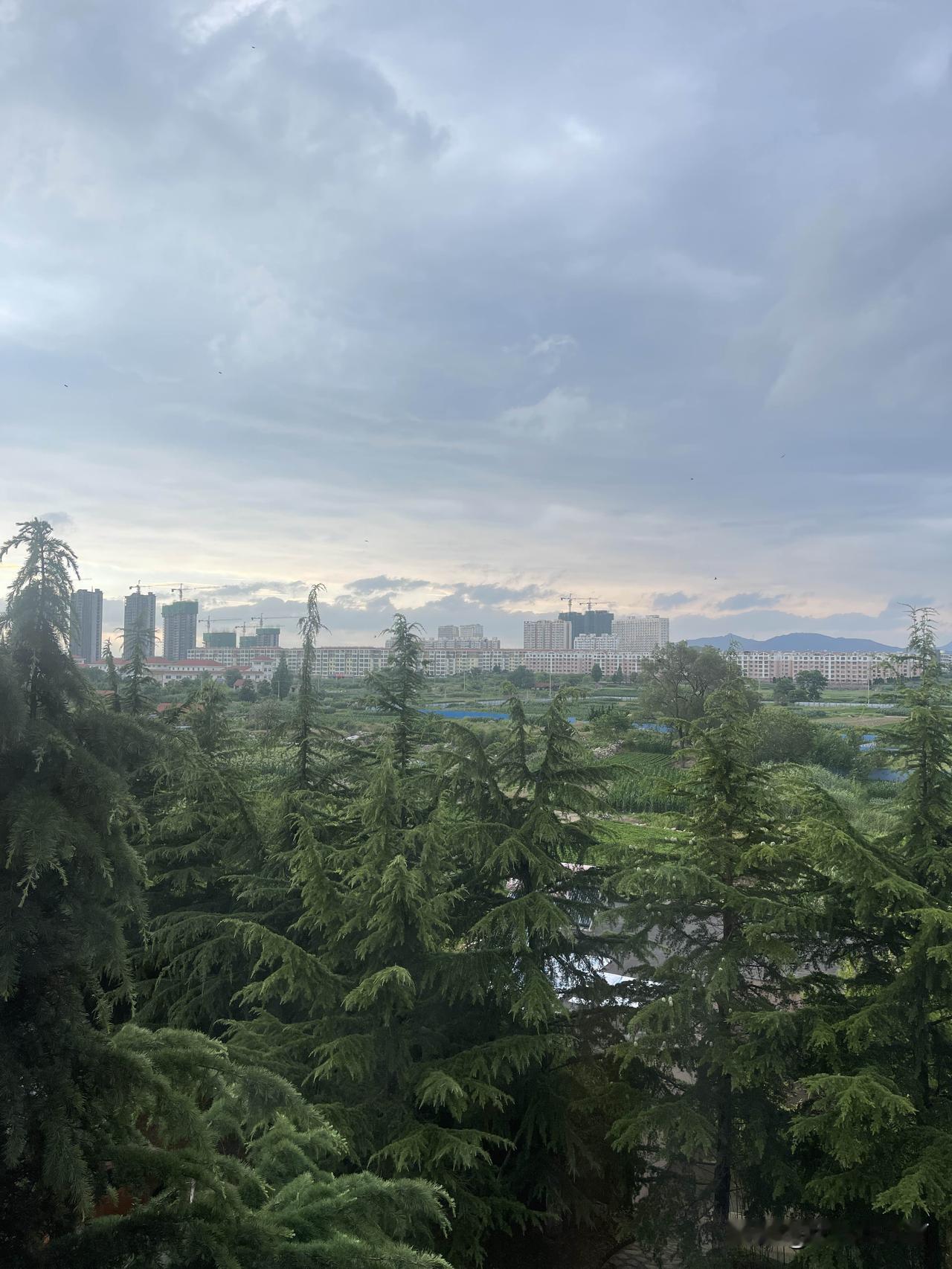 谁懂啊！乳山银滩天气，主打一个随心所欲，天天晃点人
真服了银滩这捉摸不透的天气脾