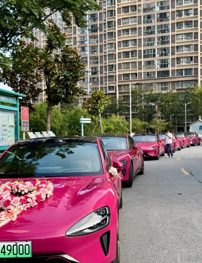 璀璨洋红婚车[笑cry] ​​​