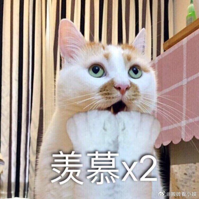 铜陵打瓦人新暗号是匠味大鸡铜陵打瓦人标配简简单单一句谐音梗，让所有铜陵打瓦人拥有