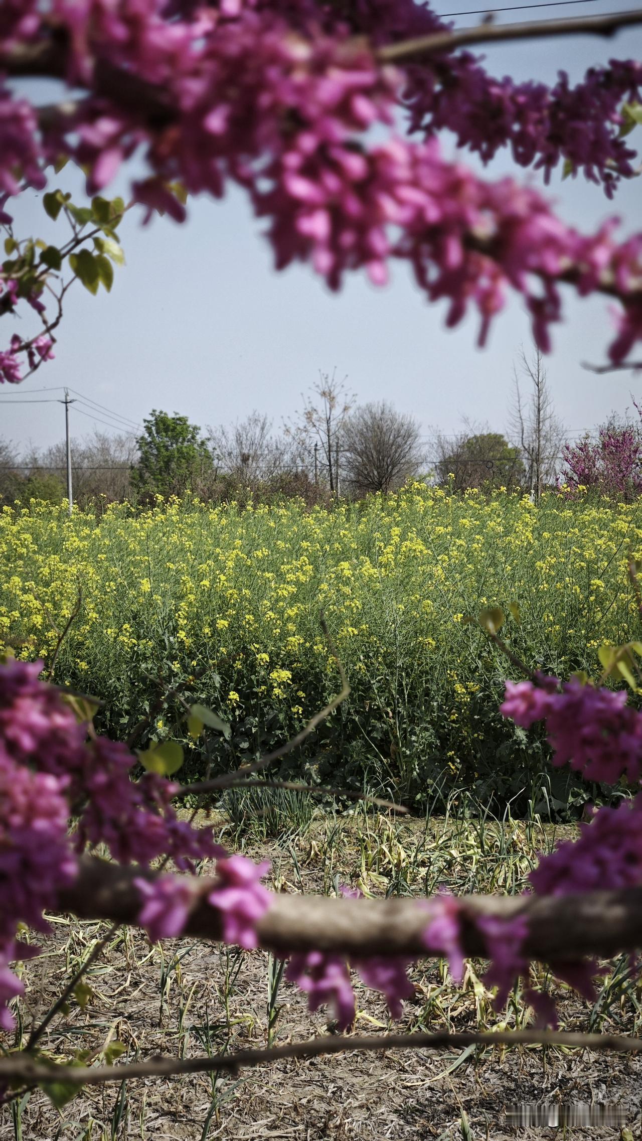 人生没有过不去的坎，人生没有渡不了的劫，不是我们个人能力有多大，而是无常是宇宙的