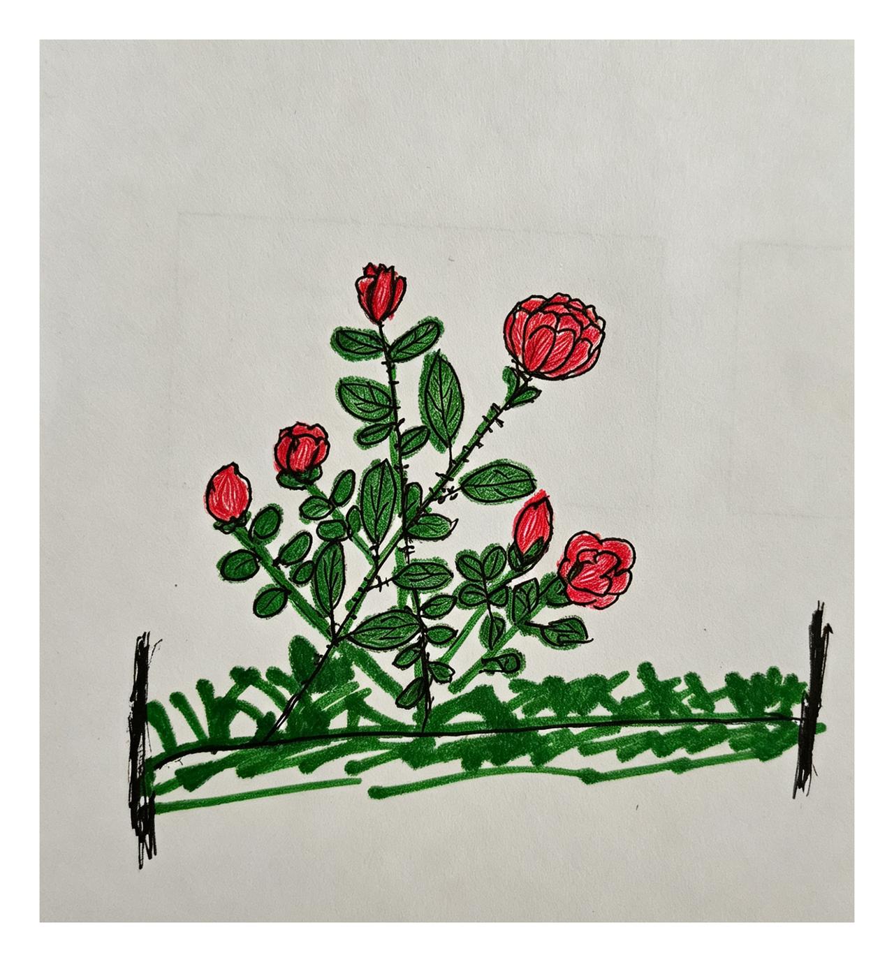 我今天画了一簇玫瑰花，这个交给豆包，豆包一下子就认出来了。
感觉自己画下了春天。