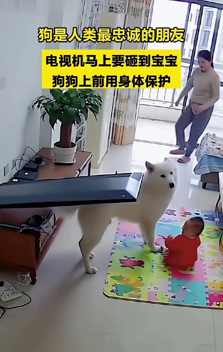 近日，一2岁的宝宝坐在客厅玩耍，谁料，电视柜上的电视机突然倒了下来，眼看就要砸到