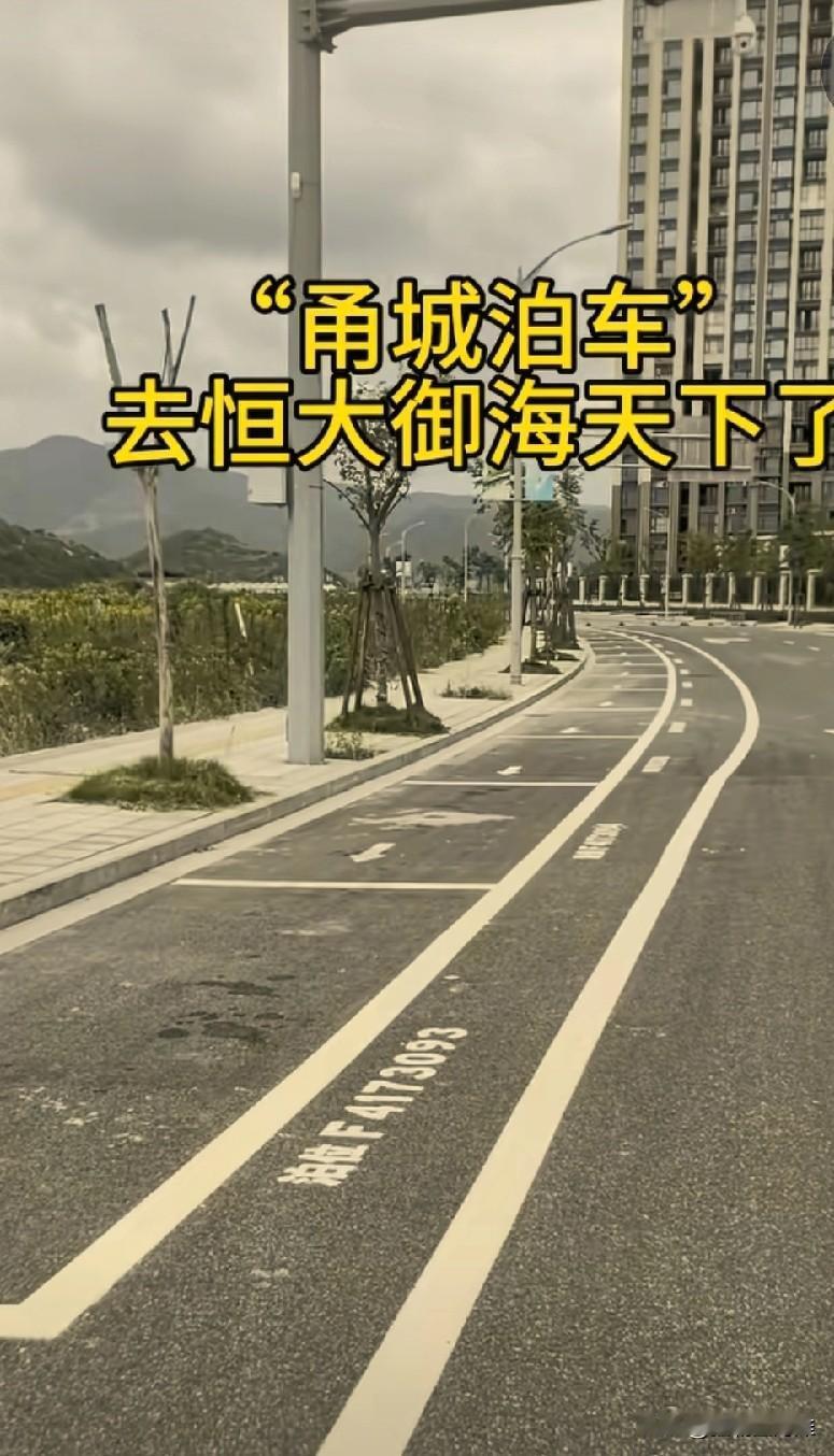 没想到在恒大御海天下居然都有甬城泊车了，那可是渺无人烟之地呀！
这我到不意外，网