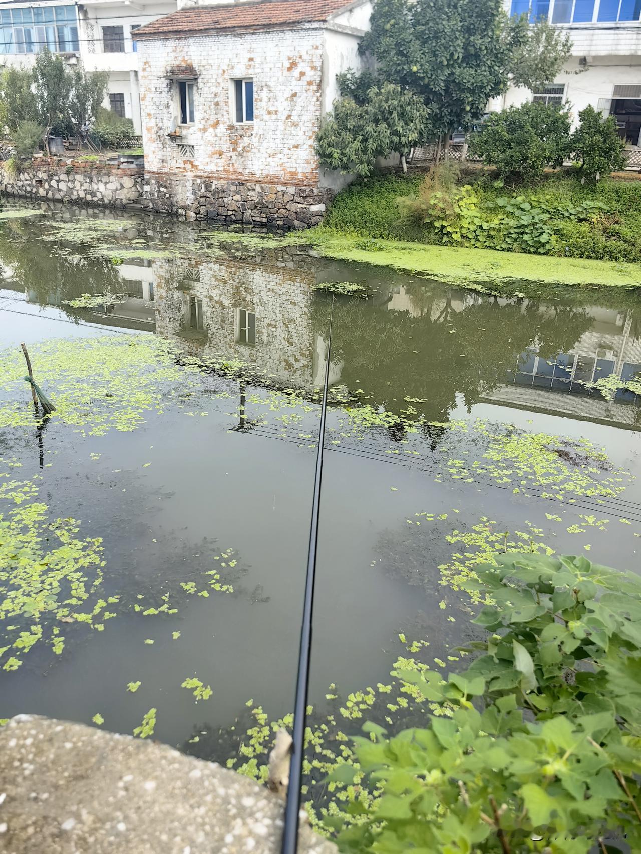 家乡乃鱼米之乡，山水环绕。犹记儿时，一竿简易鱼竿便能轻松钓上鱼来，乐趣无穷。如今