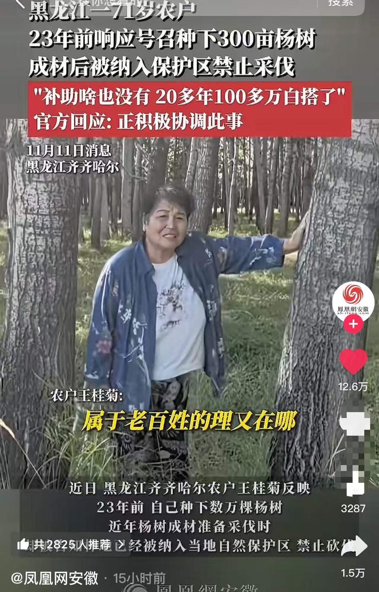 黑龙江，71岁农户23年前响应号召种下300亩杨树，成材后却被纳入保护区禁止采伐