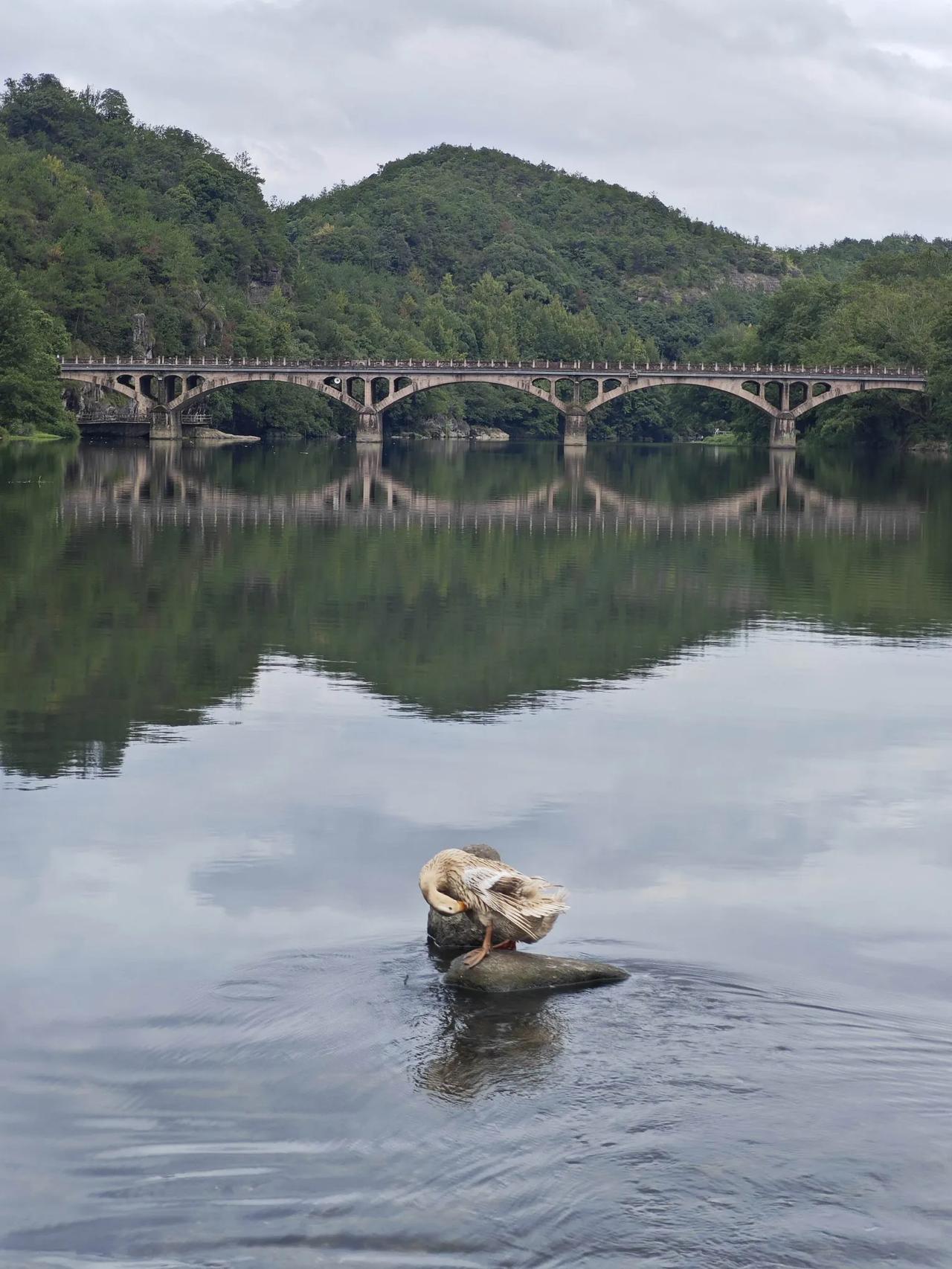 温州南站：无按摩椅的最干净车站

在快节奏的现代生活中，高铁站作为城市的门户与交