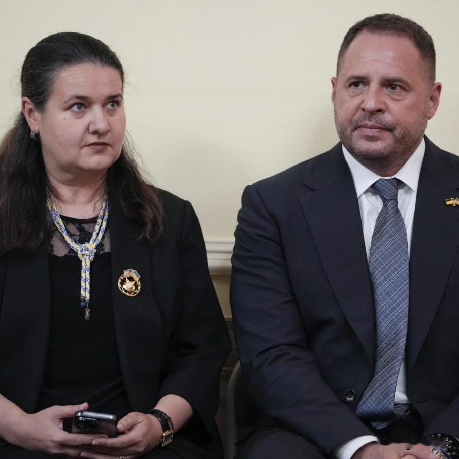 【乌克兰前驻美大使就接替总统办公厅主任一事表态】
 
11月20日，乌克兰前驻美