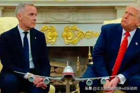 特朗普称要买下加拿大这事儿，简直是把“疯狂”写在了脑门上。他在采访中明确表示，觉