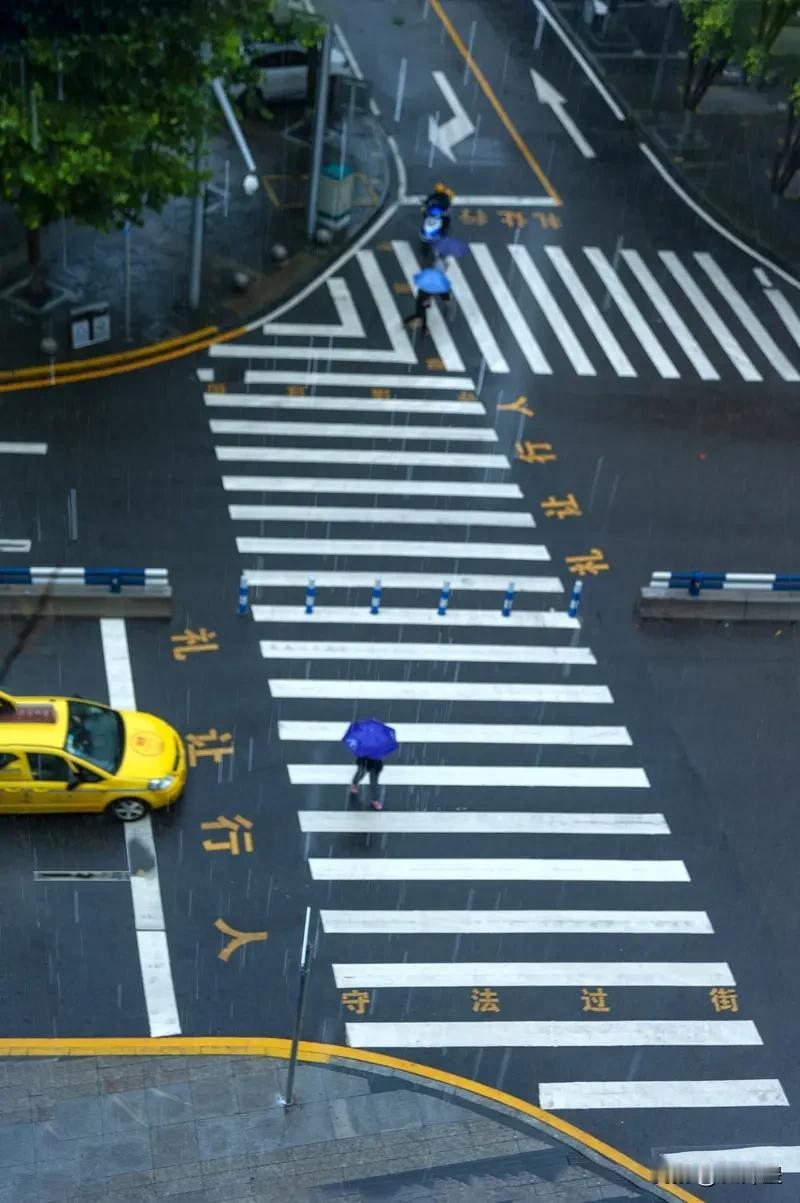 （原创）湿滑斑马线
斑马线，是条安全道，也是生命线。
行走在马路上的人们，过马路