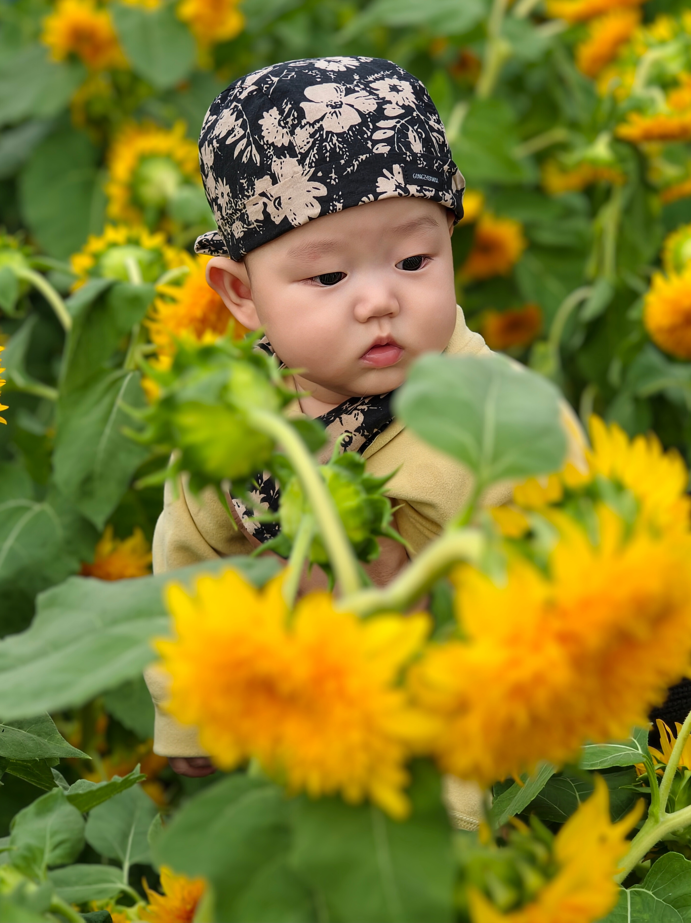 勤劳的小蜜蜂上线了[馋嘴]叔叔阿姨们早啊～ ​​​