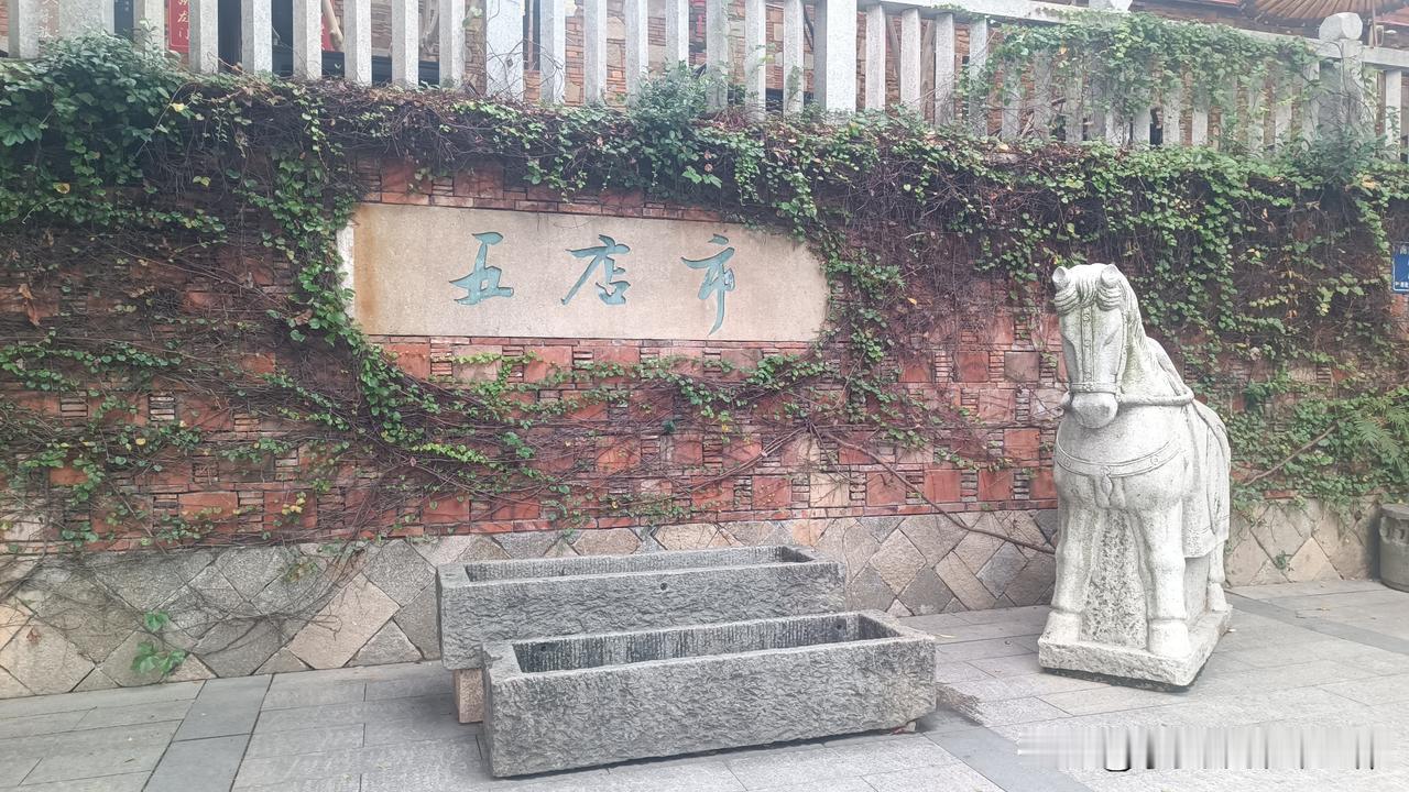 夏日生活打卡季