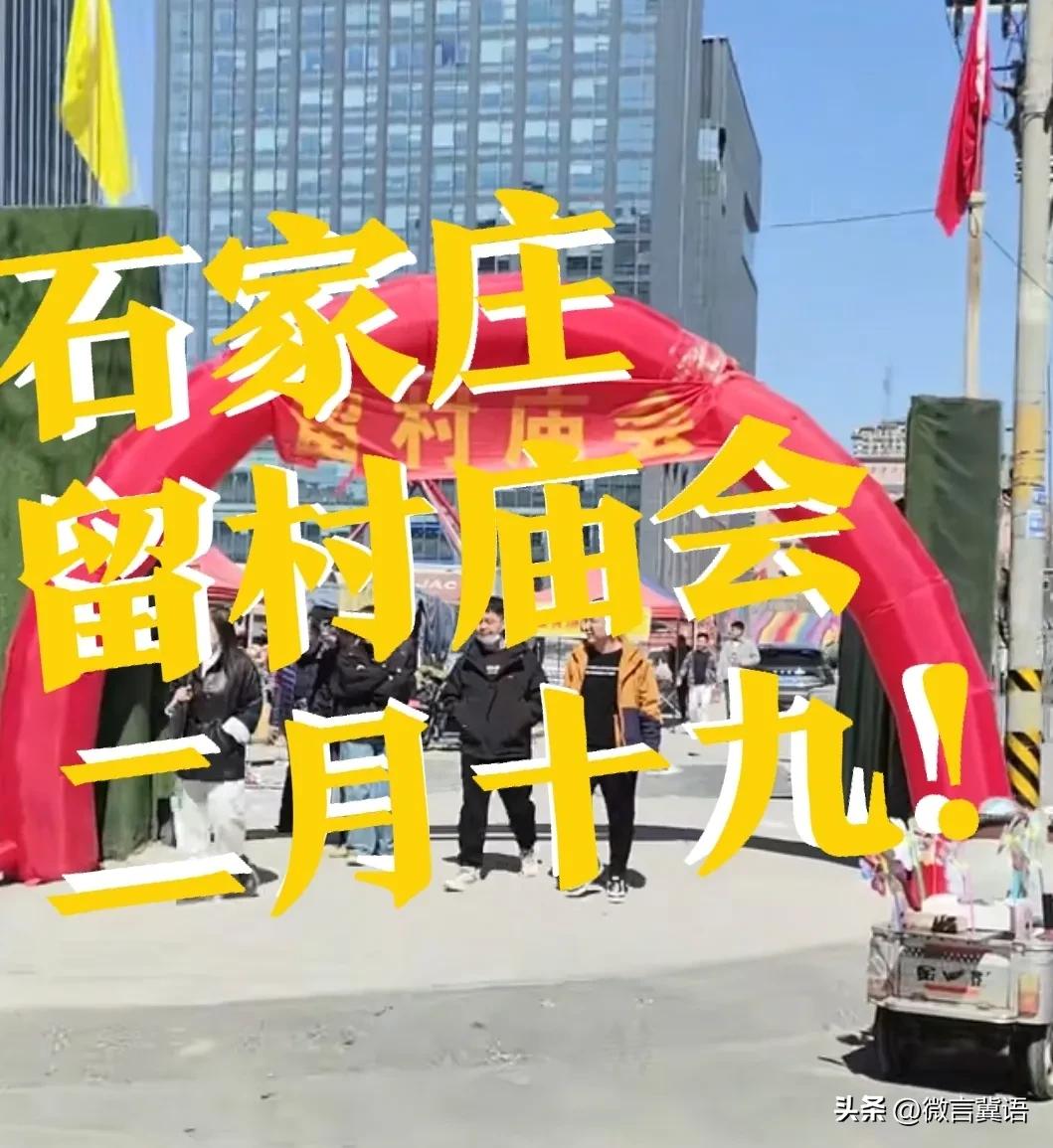 【石家庄留村，唱大戏】这几天，石家庄的戏曲文化生活，全面开花！石家庄市民的文化生