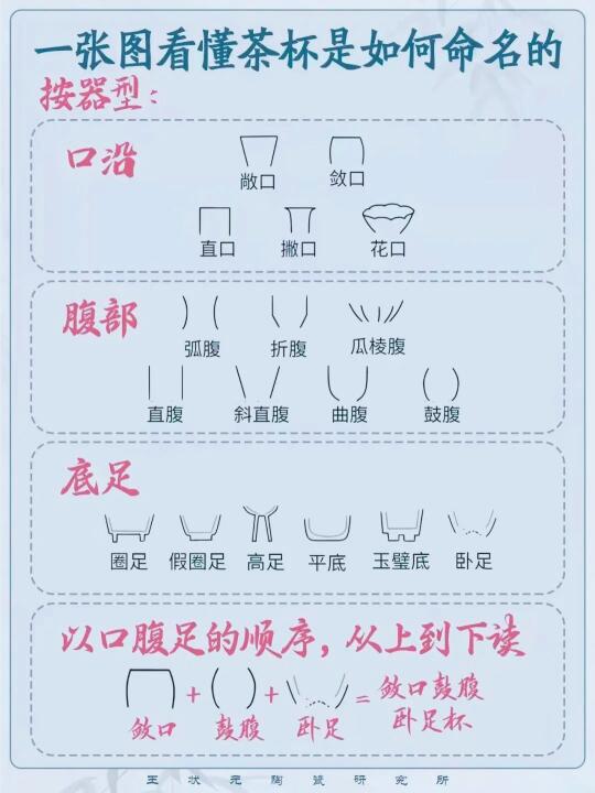 一张图看懂茶杯是如何命名的！