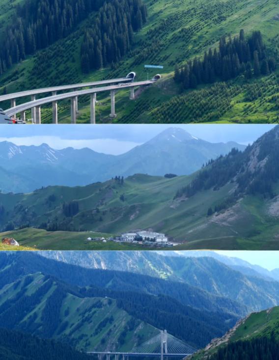 十二生肖女的性格，准哭了！
亲爱的朋友们大家好，我是海林小百科，今天我们来看看十