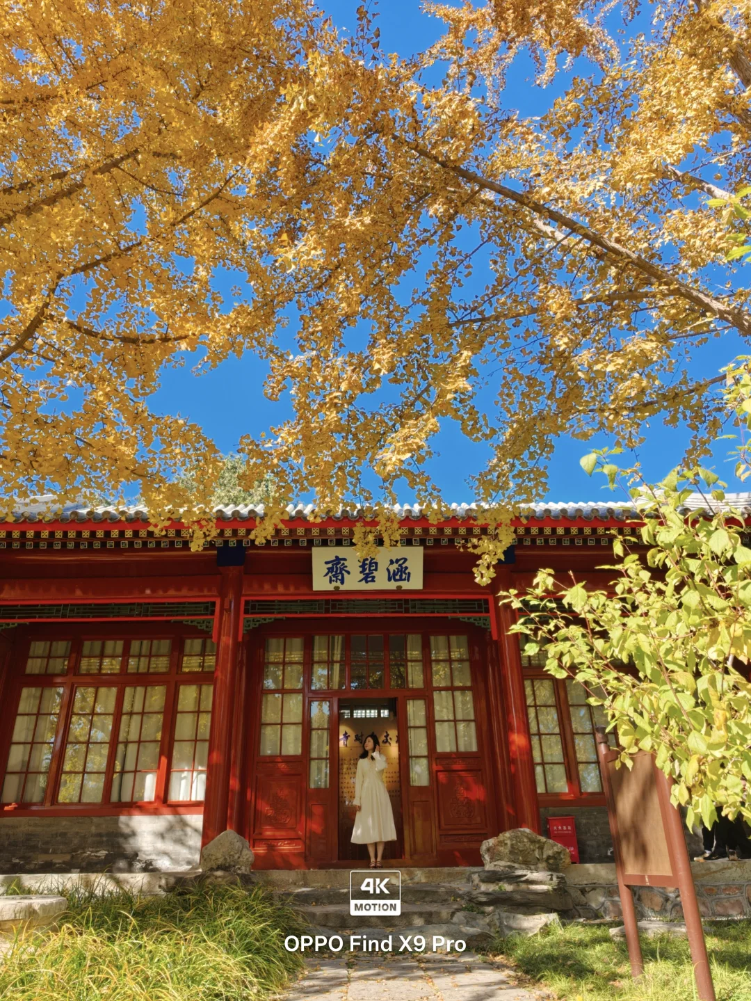 4K live｜这个秋天最值得拍的 8 个秋叶机位