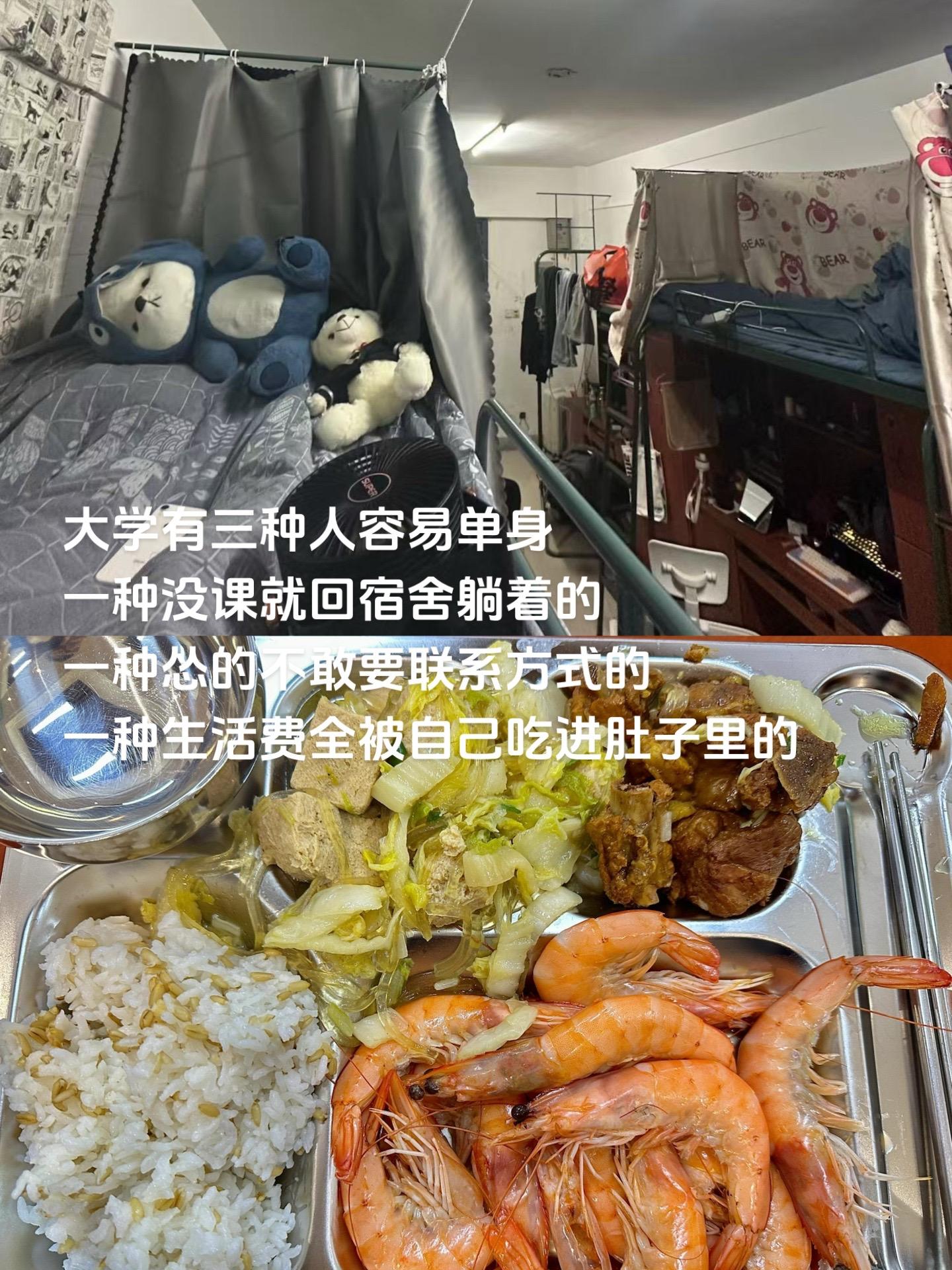 大一不脱单 大学一直单