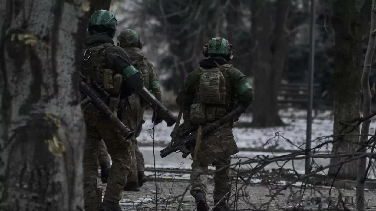 俄常驻联合国代表：基辅的动员能力即将用尽，不再有本国武器

来源:俄罗斯卫星通讯