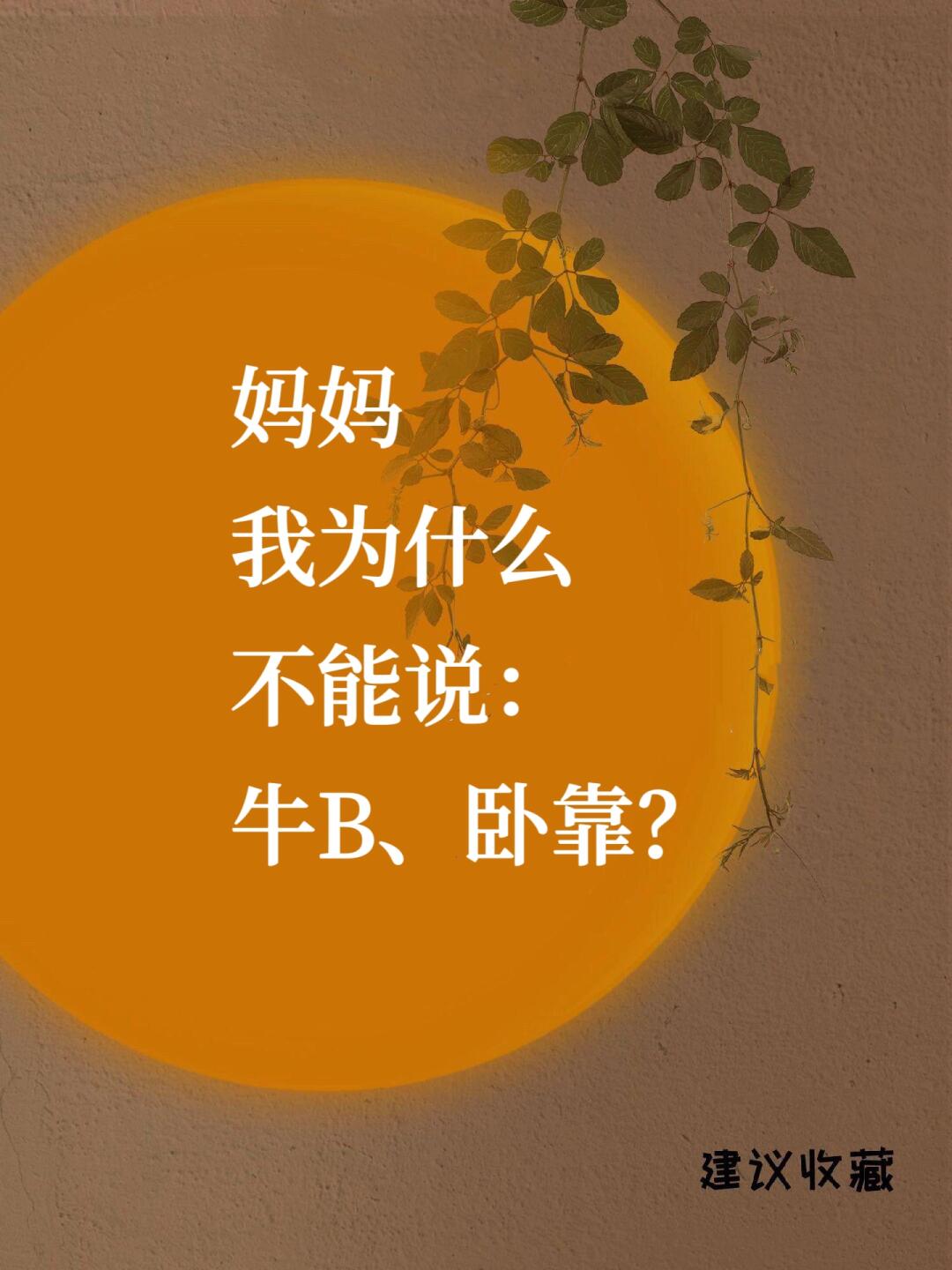 妈妈我为什么不能说： 牛B、卧靠？