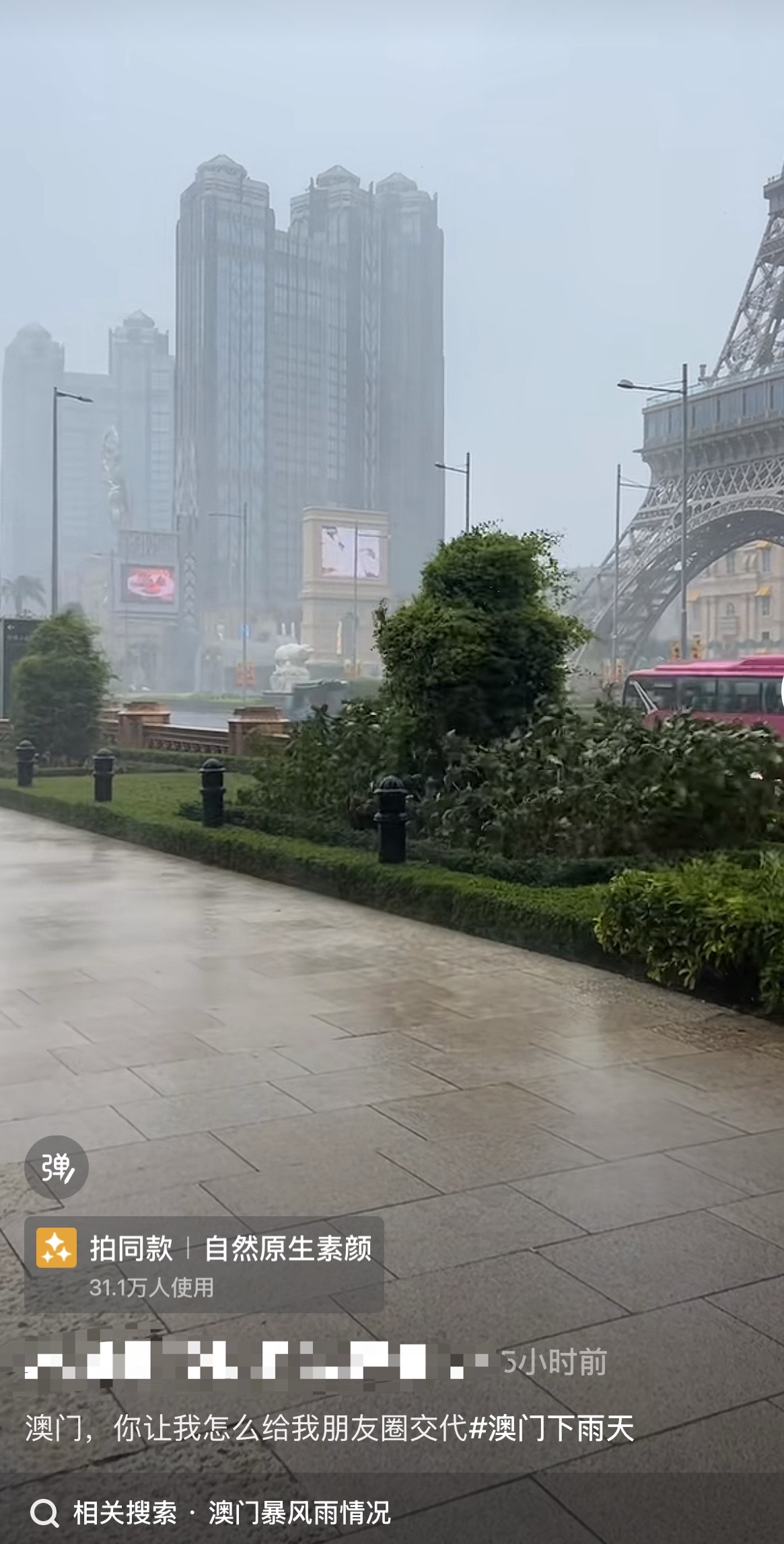 澳门你别跟我闹