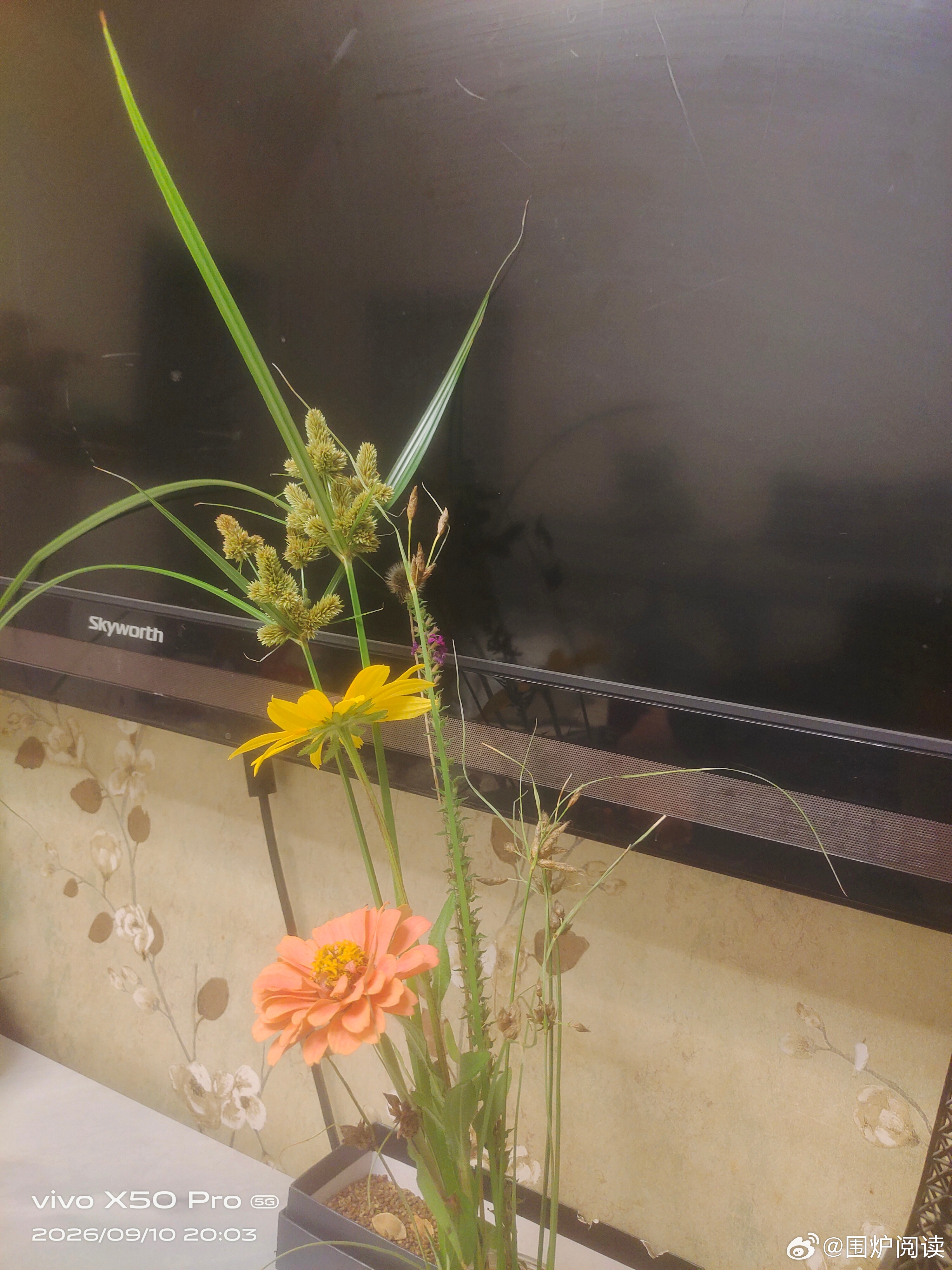 秋意渐浓，时光温柔。人生最好的状态，莫过于顺应时节，安于当下。不慌不忙，慢慢生活