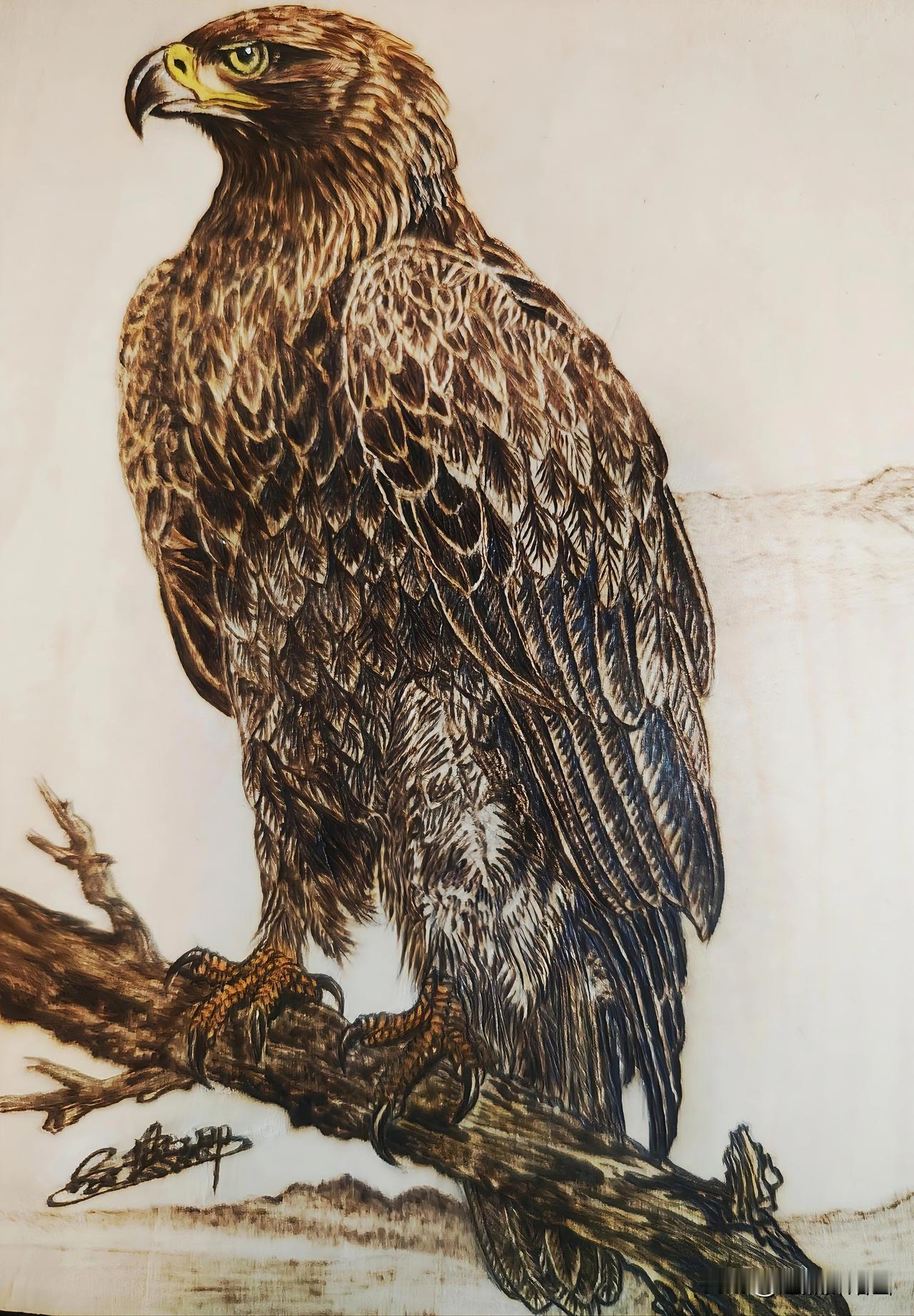 分享每日正能量不必慌张，太阳下山有月光，月光落下有朝阳，慢慢来，一切都来得及。