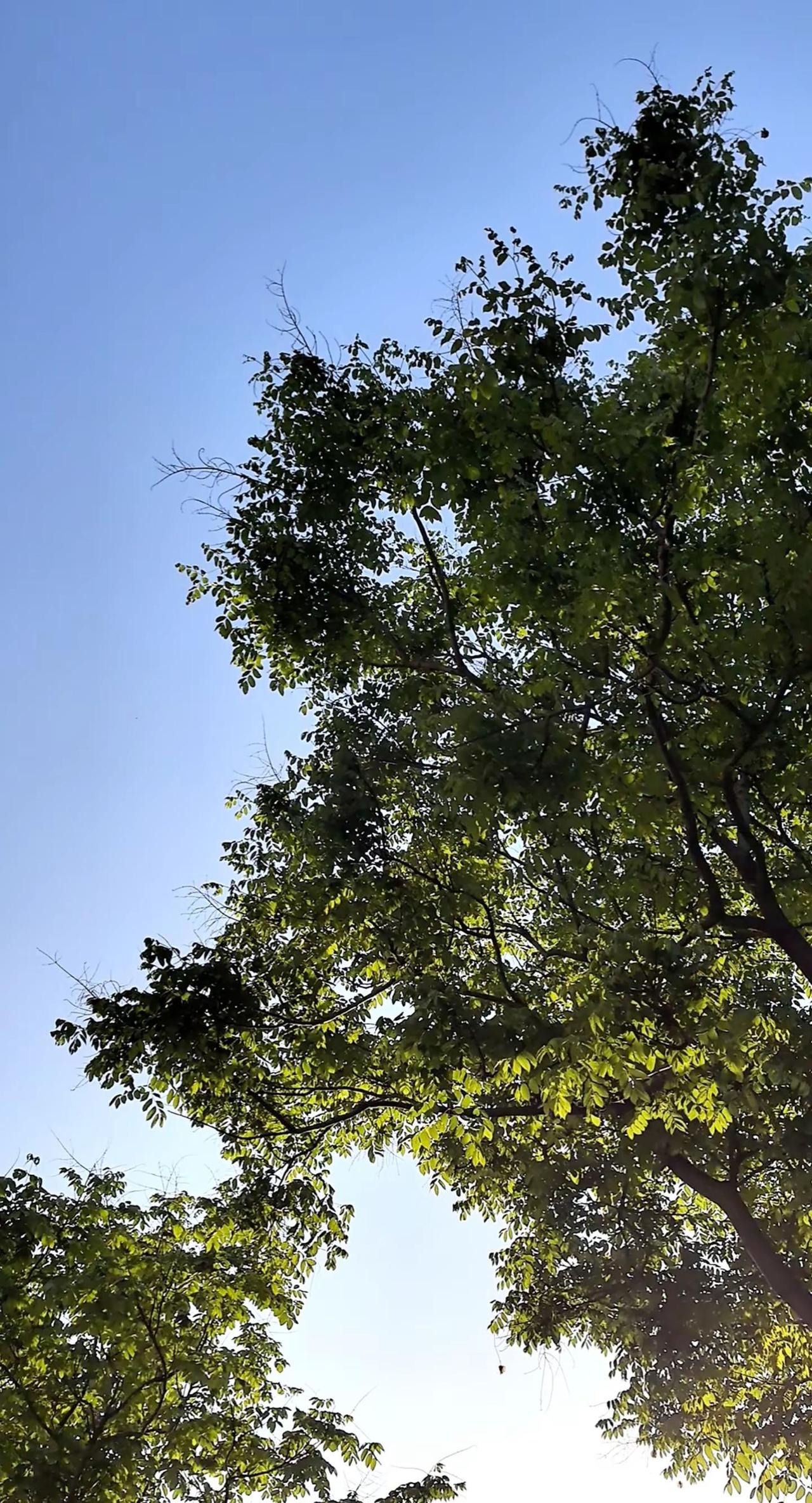 地球online提醒您，请勿在npc身上浪费太多时间，避免影响玩家自身情绪祝各位