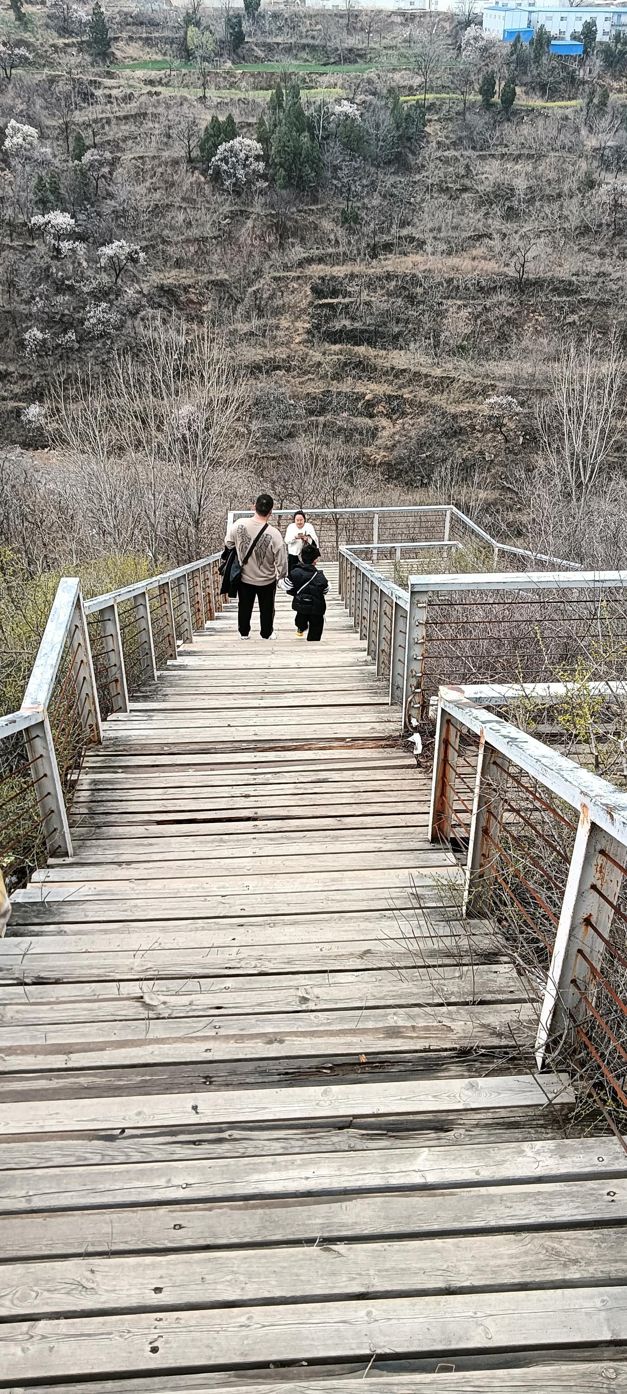 带娃爬山的春日碎片✨
 
周末拽着娃往山里钻，踩在这吱呀作响的木栈道上，风里都裹