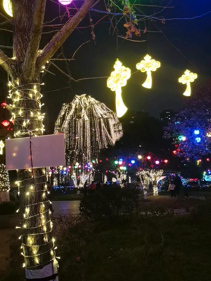 万紫千红，灯光耀眼，人海茫茫，和谐家园，共渡春节，迎接美好明天！！！