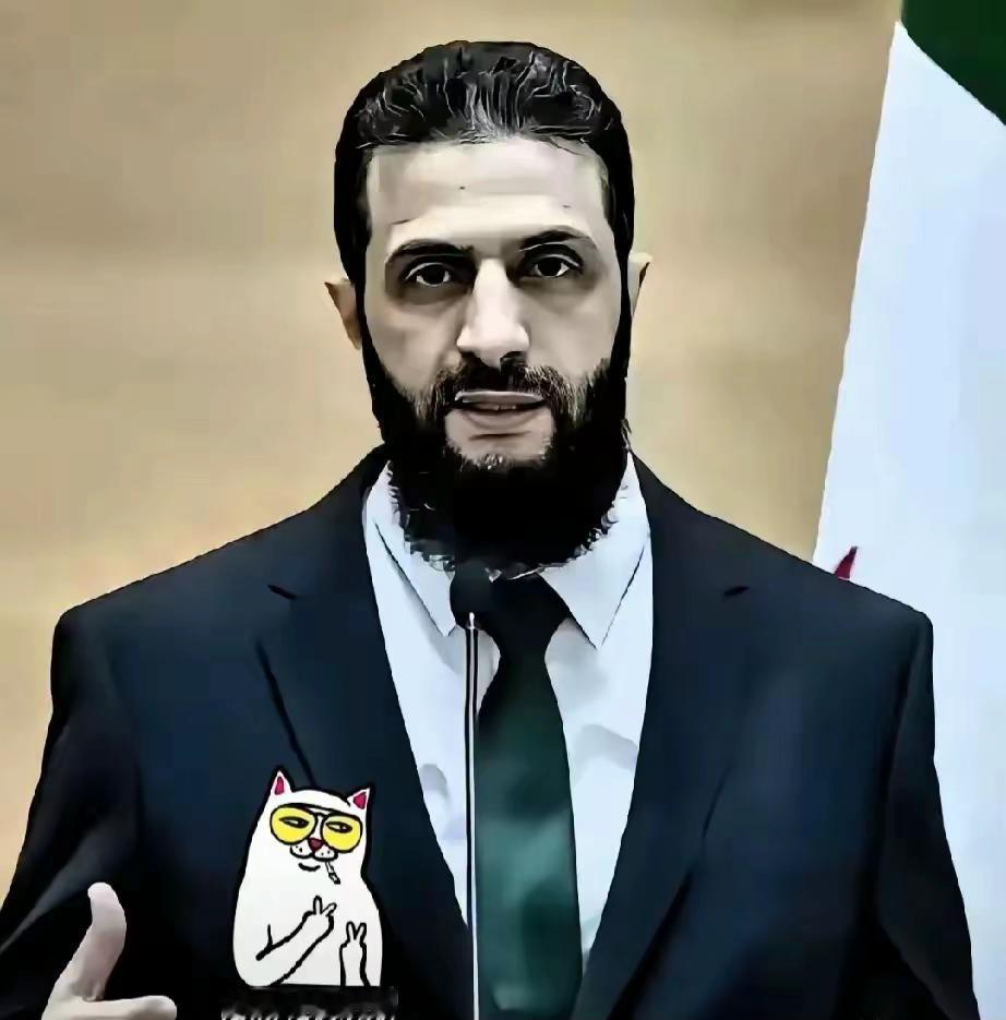 叙利亚传来新消息：

2026年4月17日，新华社从大马士革甩出一条让全世界都坐