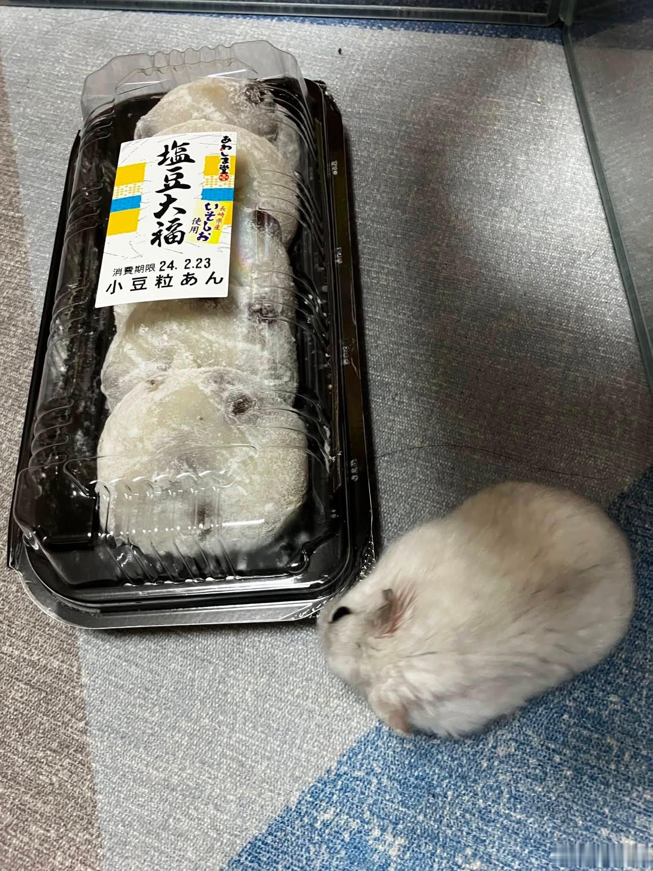 等着我！现在就来救你！ 