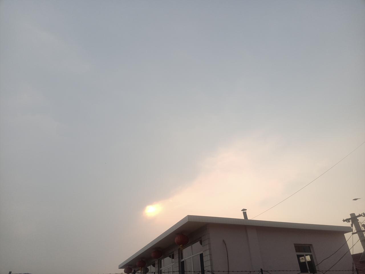 昨天去卖蝎子，休班抓了大约八十多个蝎子，连大带小的。抓蝎子的人都知道，蝎子有大母