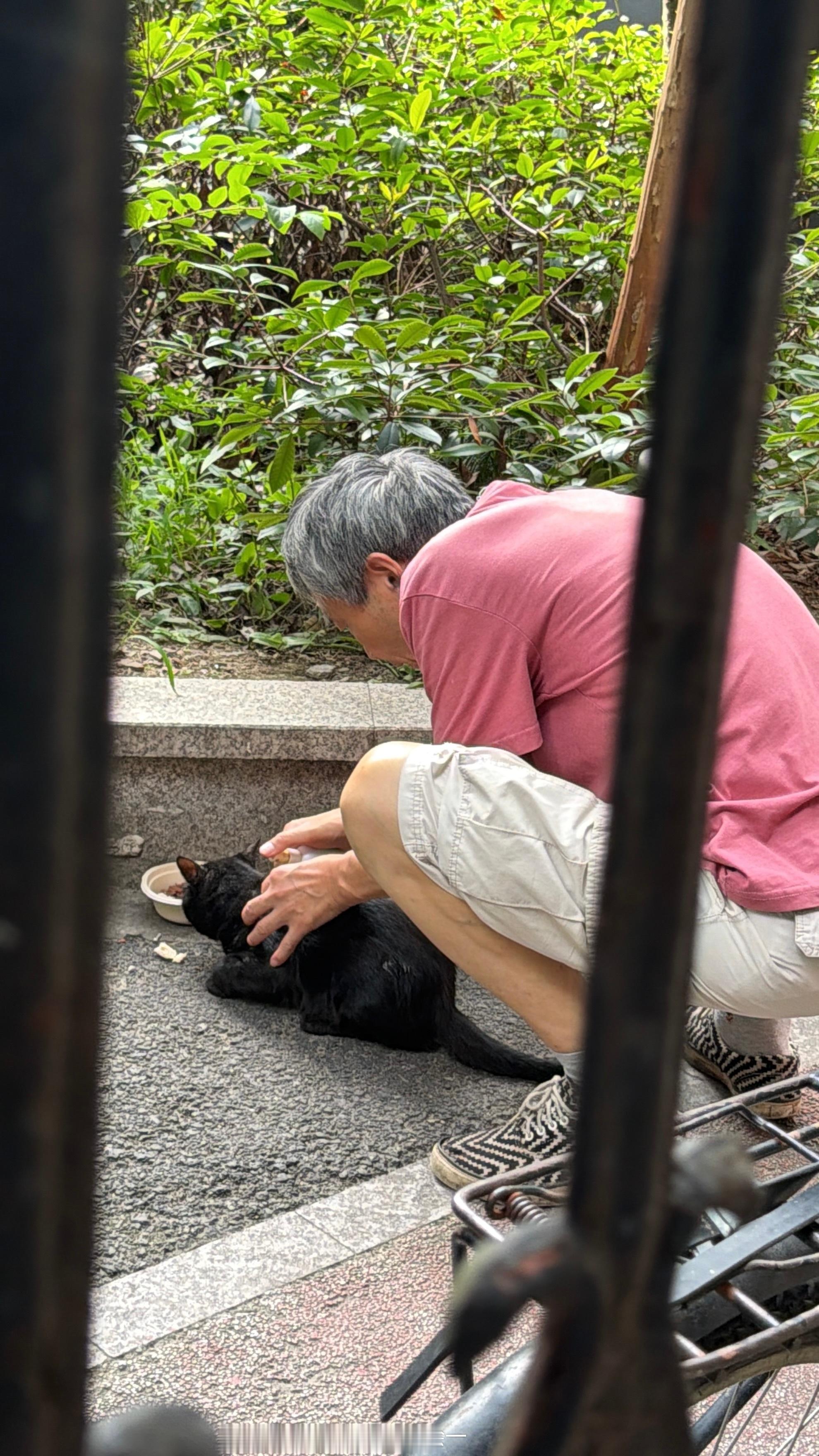 遇到了一个爷爷趁流浪猫吃饭的时候给他上药 不多说 人很复杂 但我仍爱这个世界 爱