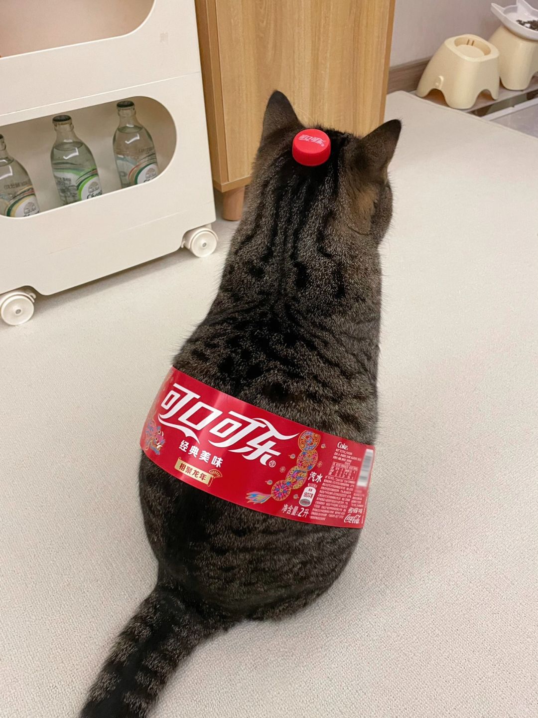 起猛了，家里汽水怎么有猫味！？