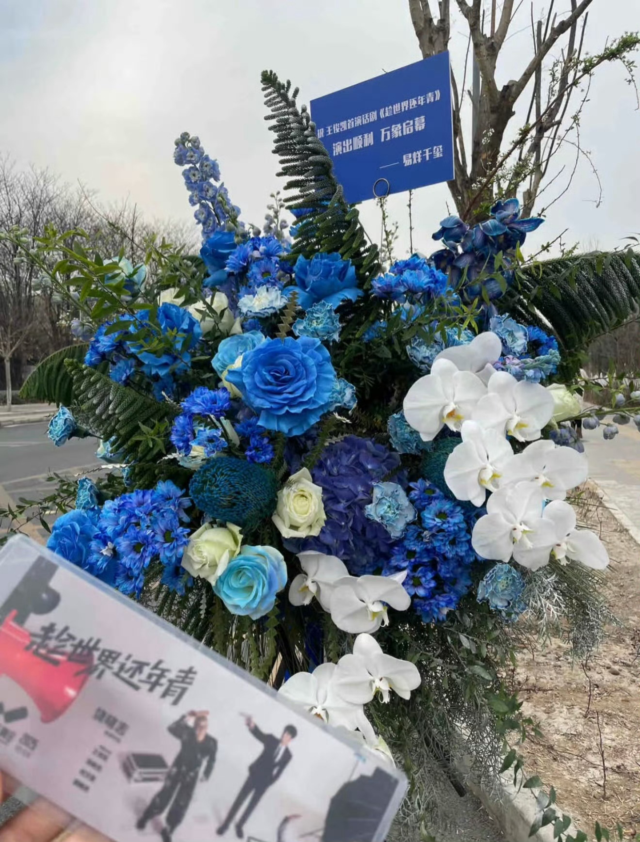 易烊千玺王源给王俊凯送花篮了！易烊千玺给王俊凯送花篮了王源送王俊凯话剧花篮