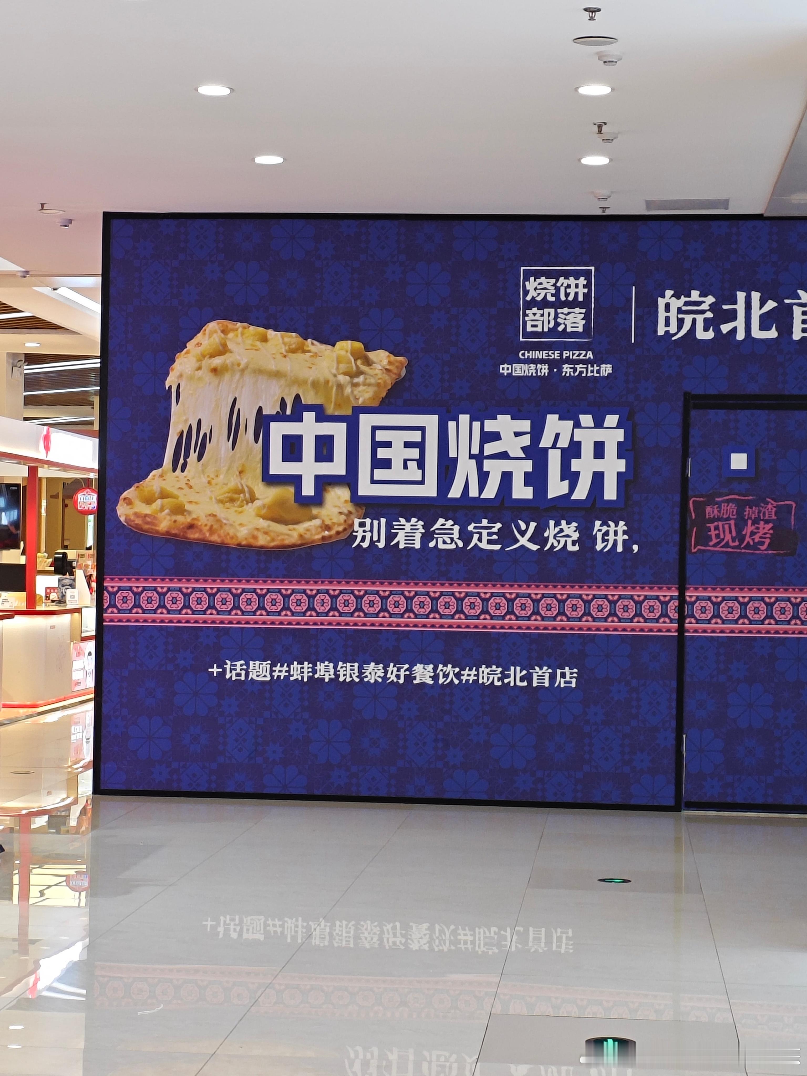 您看我像傻子不？拿个披萨的图说是中国烧饼