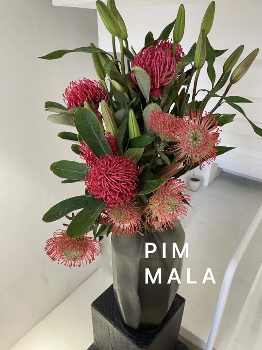 PIMMALA｜给百合起个名字