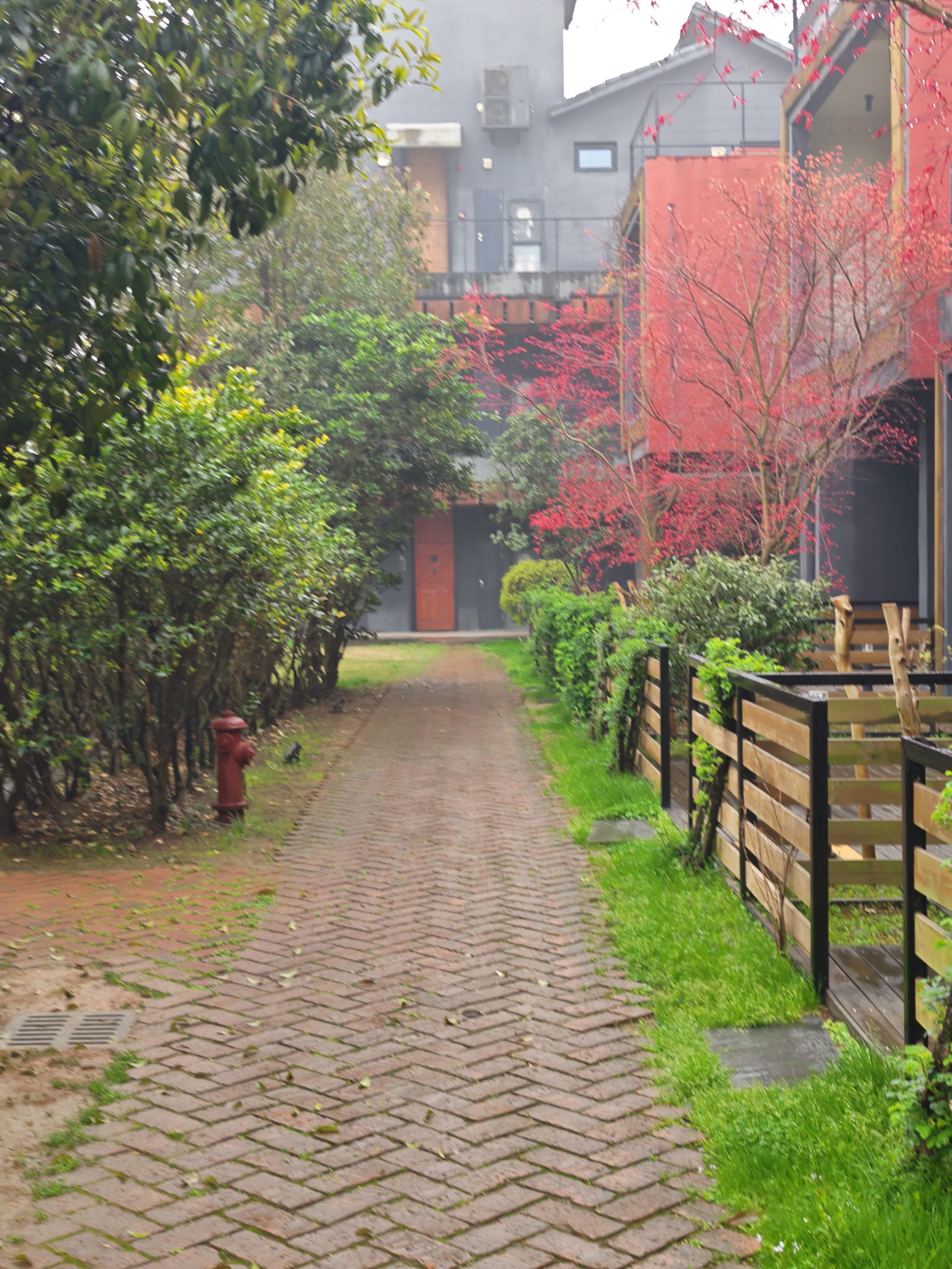趁着假期，又要去公园放空了🌿你知道“公园效应”吗？放下手机，看看树，晒晒太阳，